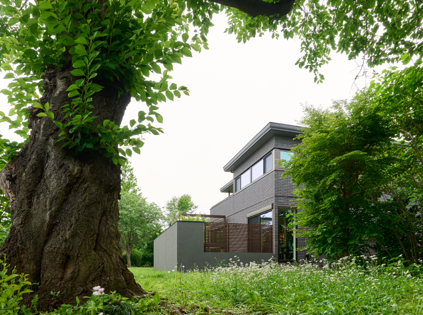 風景に従う建築