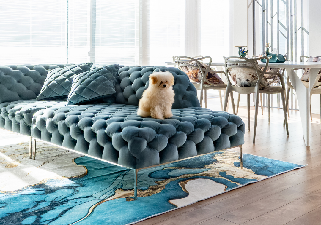 理想が晴れわたる家